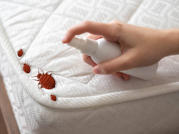 Reliable Melvindale, MI Pest control Solutions